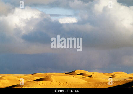 Le dune di sabbia vicino a Douz, il Deserto del Sahara, Tunisia. Foto Stock