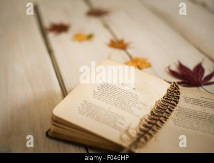 Vista dettagliata del libro vintage di poesia aperto su ode all'autunno da John Keats, con piume e foglie di autunno Foto Stock