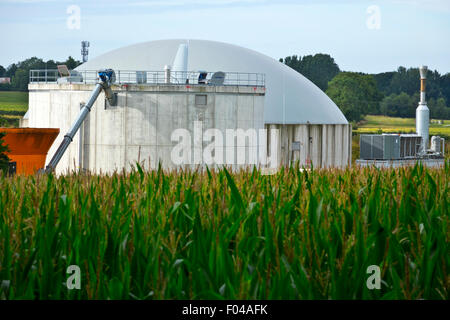 Digestore anaerobico in campo di fattoria del maze Foto Stock