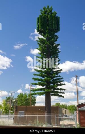 Pino mimetizzata torre cellulare a Boise, Idaho, Stati Uniti d'America. Foto Stock