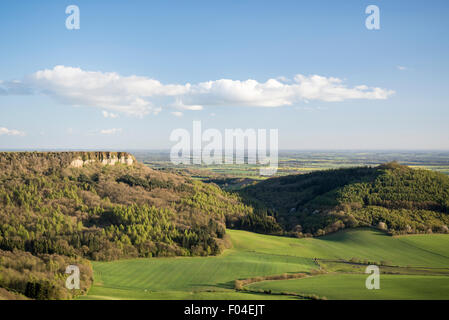 La collina del cofano e la cicatrice Roulston da Sutton Bank, North Yorkshire. Foto Stock