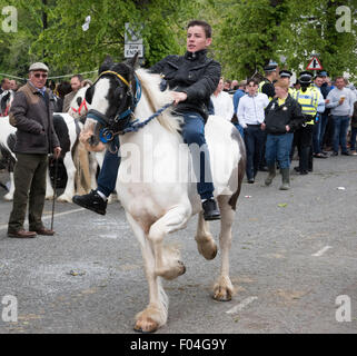 Appleby Horse Fair, Appleby-in-Westmoreland, Cumbria. Foto Stock