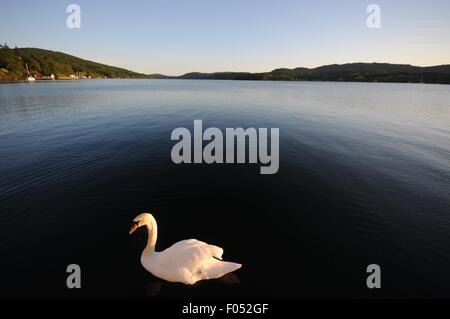 Classic colore Windermere Foto Stock