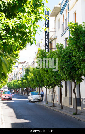 Alberi di arancio in Cordoba o Córdoba, Spagna Foto Stock