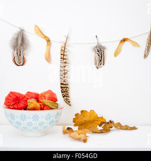 Una ciotola di lanterne cinesi su un ripiano bianco, foglie di quercia e una ghirlanda di piume Foto Stock