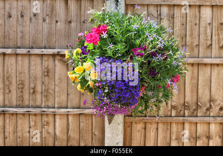 Piuttosto appeso cesto di piante in fiore nei pressi di una recinzione di legno Foto Stock