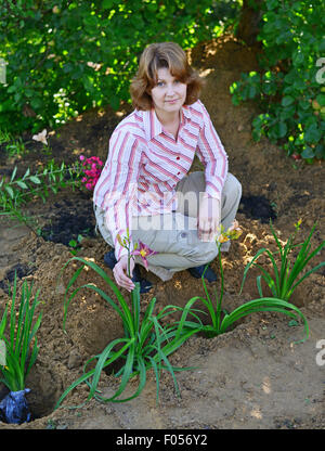 Una donna piantare fiori nel giardino Foto Stock