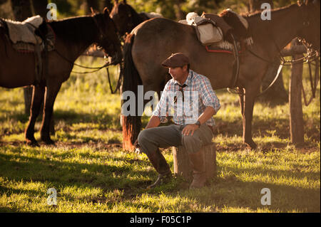 Gaucho si siede da cavalli nella luce della sera a Estancia Los Potreros, Cordoba, Argentina. Foto Stock