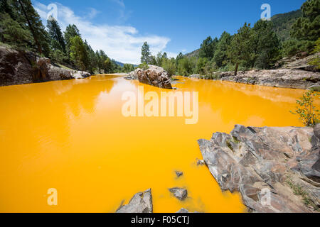 Durango, Colorado, Stati Uniti d'America. Il 6 agosto, 2015. Scolorito acqua nel fiume Animas a Bakers ponte vicino a Durango Colorado da una miniera contaminato rompere fiume. Credit: Whit Richardson/Alamy Live News Foto Stock