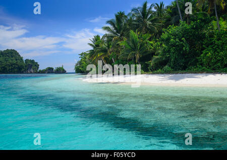 Spiaggia di sabbia bianca su di un isola tropicale circondato dalla barriera corallina, Raja Ampat, Indonesia, Oceano Pacifico Foto Stock