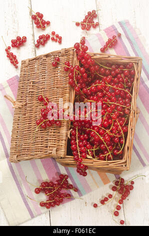 Raccolti di fresco Ribes rosso in un cesto e asciugatutto Foto Stock