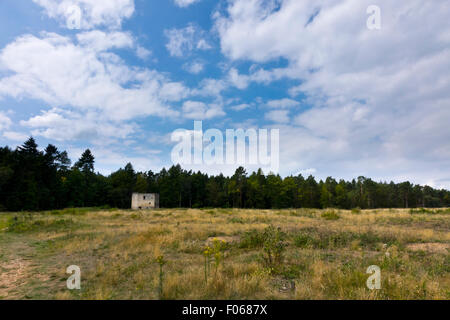 Thetford warren lodge Foto Stock