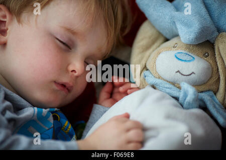 Bambino piccolo ragazzo addormentato con il suo orsacchiotto di peluche come confuter Baby bambini giovani youngster i bambini i bambini più del nuovo nato pre Foto Stock