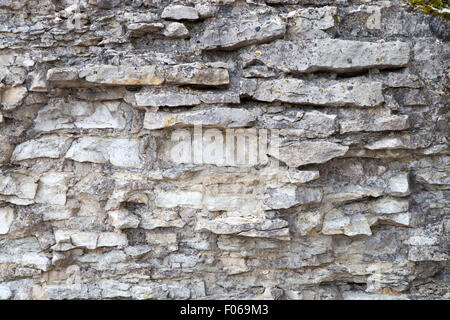 Sullo sfondo di un vecchio muro di pietra naturale. Foto Stock