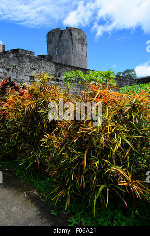 Colorato piante circondano Fort Belgica, un vecchio Forte Olandese a Banda Neira, Banda Mare, Indonesia, Oceano Pacifico Foto Stock