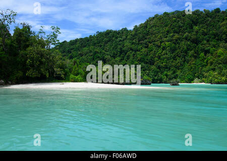 Una spiaggia di sabbia bianca in corrispondenza di un bordo di una giungla verde su un mare tropicale, Mommon, Papua occidentale, in Indonesia, Oceano Pacifico Foto Stock