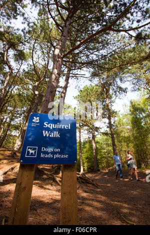 Formby Squirrel riserva vicino Liverpool, UK. 8 agosto 2015. I turisti che visitano la Formby Squirrel Riserva per vedere il rosso scoiattoli nel loro ambiente naturale e godetevi miglia di coste passeggiate su una gloriosa estati pomeriggio. Auto & i visitatori in coda per entrare in modo che possano godere di vedute mozzafiato del mare o un picnic. Molti proprietari del cane guidato su una passeggiata costiera per visualizzare Formby affascinante costa. Credito: Cernan Elias/Alamy Live News Foto Stock