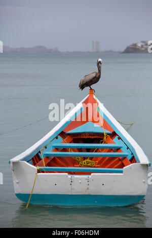 Pelican in piedi su una barca di Fisher nella baia di Pampatar. Isla Margarita è la più grande isola in stato di Nueva Esparta. Foto Stock