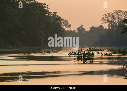 Alberi e jungle sul fiume Catatumbo vicino al lago di Maracaibo durante una bella e vivace arancione tramonto. Venezuela Foto Stock