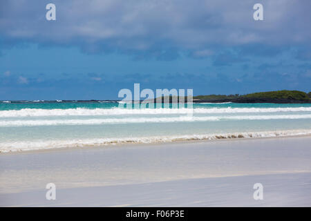 Tortuga Bay beach vicino a Puerto Ayora contro un blu cielo nuvoloso le Isole Galapagos. Ecuador 2015 Foto Stock