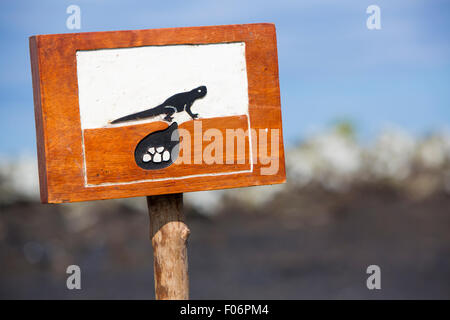 Cartello in legno a protezione di una zona chiusa durante il nesting vicino alla costa di Isabela island al fine di preservare la popolazione di iguana Foto Stock