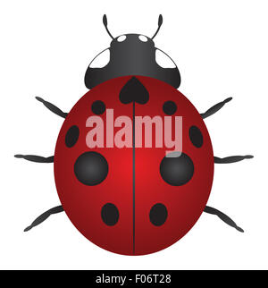 Red nove Spotted Ladybug isolati su sfondo bianco Illustrazione a colori Foto Stock