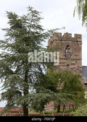 La chiesa di San Lorenzo, Preston on Wye, Hereford, Herefordshire, England Regno Unito Foto Stock