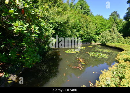 Chartwell House e giardini, la casa di ex Primo Ministro Winston Churchill Foto Stock