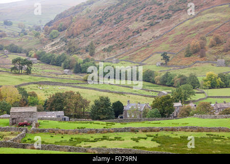 Una nebbiosa inizio autunno il giorno vicino Thwaite, Swaledale superiore, Yorkshire Dales National Park, North Yorkshire, Inghilterra, Regno Unito Foto Stock