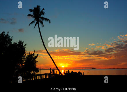 Tramonto su Charlotte Harbor, Florida, Stati Uniti d'America Foto Stock