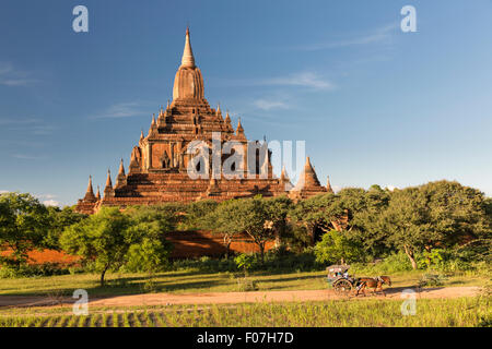 Nel tardo pomeriggio vista di Sulamani Paya e carro trainato da cavalli, Bagan, Myanmar Foto Stock