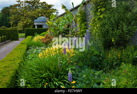 Il tempio e Herbaceous borders in il giardino murato, Fota House, Arboretum & giardini, vicino a Cobh, nella contea di Cork, Irlanda Foto Stock