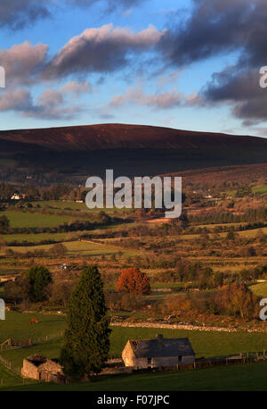 Abbandonata e cottage di campagna pastorale sulla Blackstairs montagne al confine della contea di Wexford (e Carlow, Irlanda Foto Stock