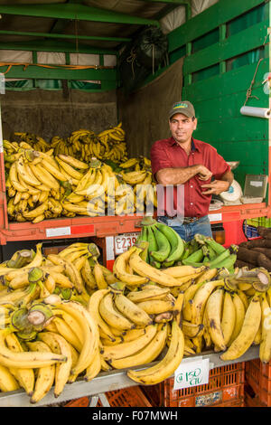 Agricoltore la vendita delle banane a La Garita mercato agricolo in Costa Rica Foto Stock