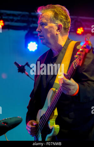 Wickham, UK. Il 9 agosto, 2015. Tom Robinson a Wicham Festival 09/08/15 Credito: James Houlbrook/Alamy Live News Foto Stock