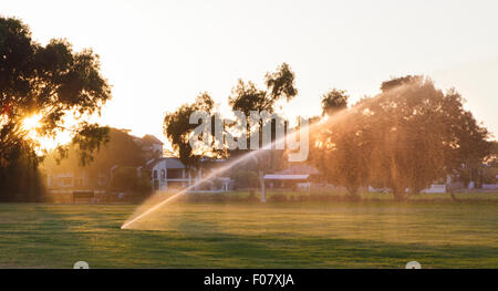 Irrigazione sprinkler un parco molto presto la mattina in un giorno di estate in Perth, Western Australia Foto Stock