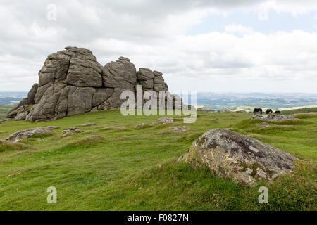 Haytor Rock, Dartmoor Park, Devon, Regno Unito Foto Stock