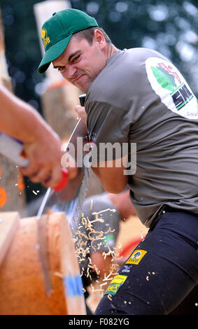 Jihlava, Repubblica Ceca. 09Aug, 2015. Armin austriaco Kugler compete in single buck durante la Eurojack European Cup in Jihlava, Moravia del sud, il 9 agosto 2015. Jihlava ha ospitato il terzo, gara finale di questo anno la stagione, preceduto da eventi in Austria e Germania. La gara si è svolta in Jihlava per la quarta volta, ma la finale per la prima volta. Insieme con i Cechi, ci sono stati dei boscaioli provenienti da Austria, Germania, Svizzera, Svezia e Francia. Credito: Lubos Pavlicek/CTK foto/Alamy Live News Foto Stock