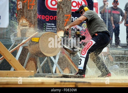 Jihlava, Repubblica Ceca. 09Aug, 2015. David ceca Sila compete in modalità risparmio energetico durante il Eurojack European Cup in Jihlava, Moravia del sud, il 9 agosto 2015. Jihlava ha ospitato il terzo, gara finale di questo anno la stagione, preceduto da eventi in Austria e Germania. La gara si è svolta in Jihlava per la quarta volta, ma la finale per la prima volta. Insieme con i Cechi, ci sono stati dei boscaioli provenienti da Austria, Germania, Svizzera, Svezia e Francia. Credito: Lubos Pavlicek/CTK foto/Alamy Live News Foto Stock