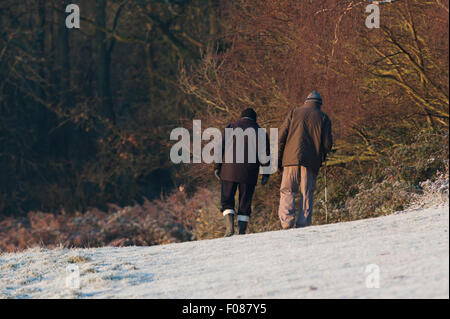 Due uomini anziani a piedi dalla fotocamera con i loro cani su un freddo gelido inverno mattina. Foto Stock