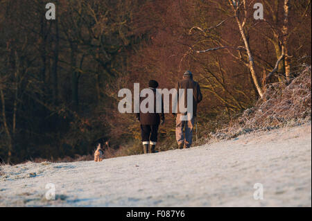 Due uomini anziani a piedi dalla fotocamera con i loro cani su un freddo gelido inverno mattina. Foto Stock