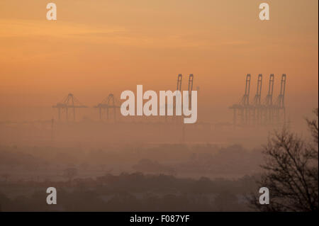 Enormi gru di DP World, London Gateway container port, luogo dalla mattina presto inverno nebbia. Coryton, Essex, Regno Unito. Foto Stock