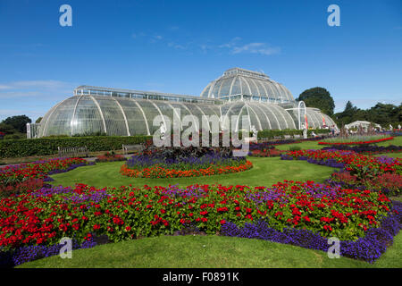 Il giardino delle palme di Kew Gardens a Londra Foto Stock