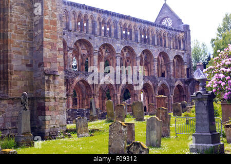 Jedburgh Abbey rovine, Scozia Foto Stock