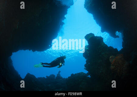 Scuba Diving in grotte personalizzato, Isole Russell, Isole Salomone Foto Stock