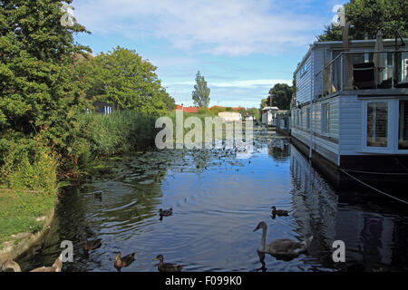 Case galleggianti sul canale di Chichester, West Sussex, in Inghilterra. Foto Stock