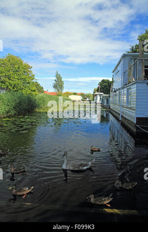 Case galleggianti sul canale di Chichester, West Sussex, in Inghilterra. Foto Stock