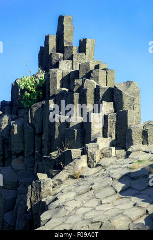 Panska Skala, Boemia centrale Highlands, formazione geologica, organo di pietra, Kamenicky Senov, Repubblica Ceca Foto Stock