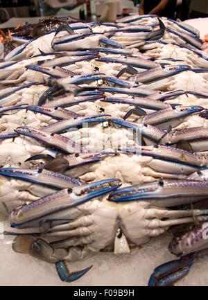 Verde Blu nuotatore granchi da Sydney mercato del pesce Foto Stock