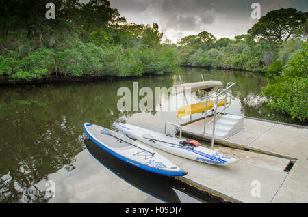 Paddle boards sul dock a Oscar Scherer parco dello stato. Foto Stock